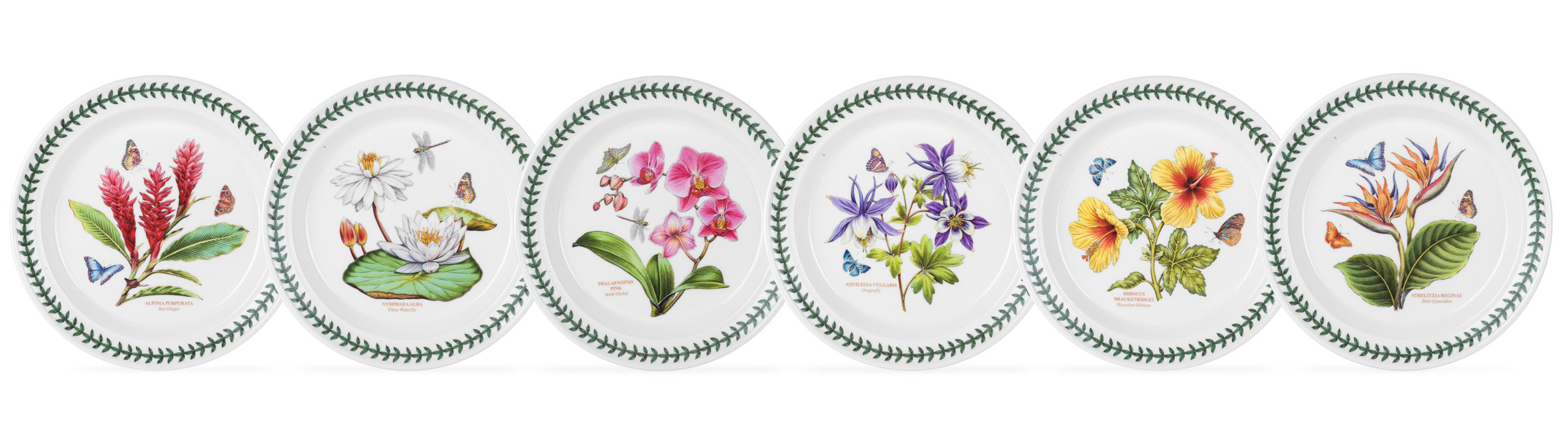 Exotic Botanic Garden 10.5 Inch Dinner Plate Set of 6 (Assorted Motifs) image number null
